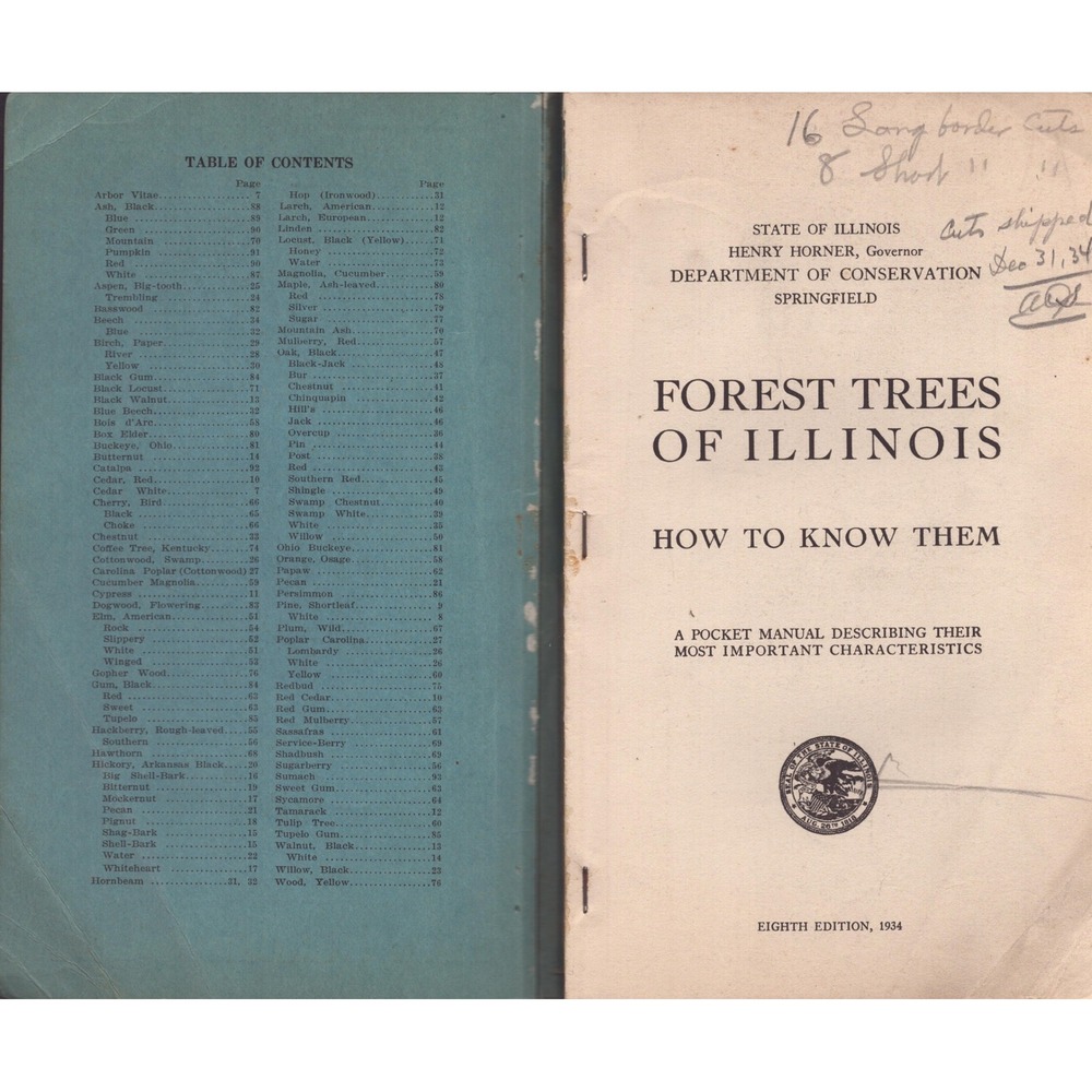 Forest Trees of Illinois How to Know Them 1934 Eighth Edition Pocket Manual - Picture 3 of 3